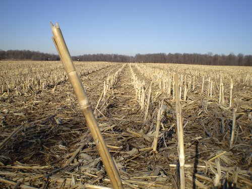 Property photo 11 - 159 Acres Offered in 7 Tracts